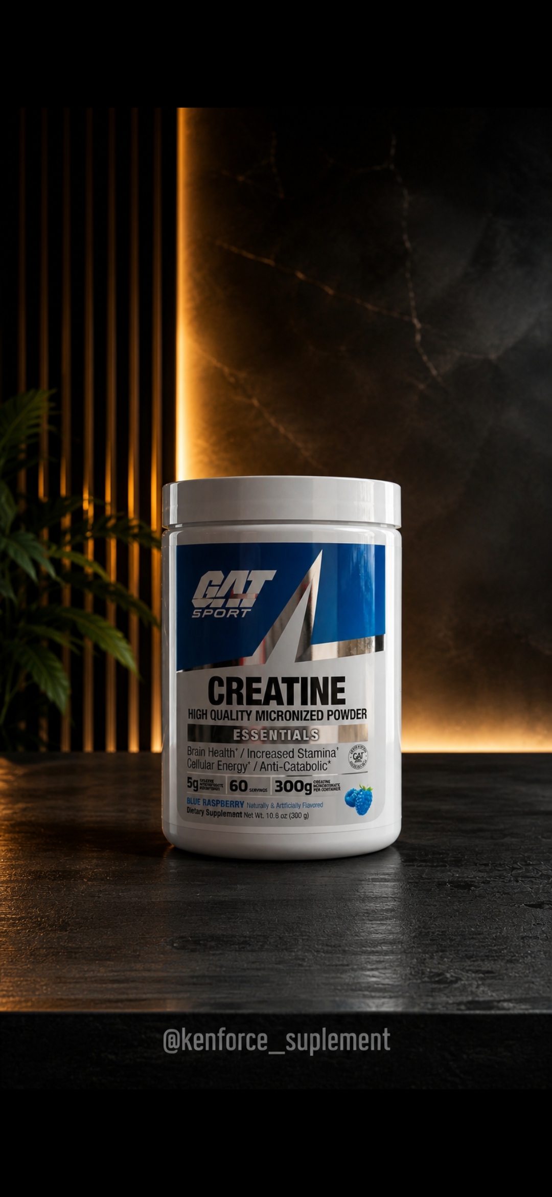 Gat Sport - 60 Servicios